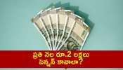 NPS Retirement Planning: ప్రతి నెల రూ.2 లక్షలు పెన్షన్‌ కావాలా? ఈ స్కీమ్‌ తెలిస్తే ఏడాదికి రూ.24 లక్షలు మీ ఖాతాలోకే!