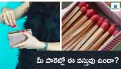 Pocket Vastu: ఈ 3 వస్తువులను మీ జేబులో పెట్టుకోండి.. ప్రతి పనిలో విజయం సాధిస్తారు