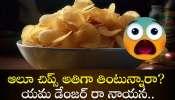 Potato Chips Side Effects: ఆలూ చిప్స్ అతిగా తింటున్నారా? యమ డేంజర్‌ రా నాయన..