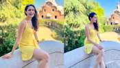 Pragya Jaiswal Hot Pics: ప్రగ్యా జైస్వాల్ హాట్ ట్రీట్.. ఏమాత్రం దాచకుండా అన్నీ చూపిస్తుందిగా!