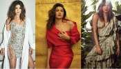 ప్రియాంకా చోప్రా హాట్ ఫోటోస్ గ్యాలరీ - Priyanka Chopra hot Photos