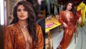 Priyanka Chopra Pics: హద్దులు దాటేసిన ప్రియాంక చోప్రా అందాల ప్రదర్శన.. ఇలా ఎప్పుడూ చూసుండరు! 