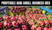 Profitable Agri-small Business Idea: ఊరిలో సొంత భూమి ఉన్నవారికి బంపర్ బిజినెస్‌ ఐడియా.. నెలకు  రూ. 2 లక్షల ఆదాయం.. డోంట్ మిస్ ఇట్