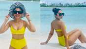 Rakul Preet Singh Hot Pics: బికినీలో కాక రేపుతున్న రకుల్ ప్రీత్ సింగ్.. ఘాటు అందాలకు కుర్రకారు పని ఔట్!