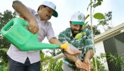 ప్రభాస్ విసిరిన గ్రీన్ ఇండియా ఛాలెంజ్ పూర్తి చేసిన రామ్ చరణ్