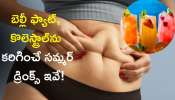  How Reduce Belly Fat: బెల్లీ ఫ్యాట్‌, కొలెస్ట్రాల్‌ను కరిగించే సమ్మర్‌ డ్రింక్స్‌ ఇవే, ఇప్పుడే ట్రై చేయండి!