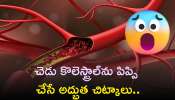 Reduce Cholesterol: చెడు కొలెస్ట్రాల్‌ను పిప్పి చేసే అద్భుత చిట్కాలు, కేవలం ఈ రసం తాగండి చాలు..