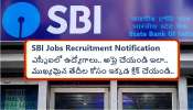 SBI Jobs: ఎస్బీఐలో 2000 ఉద్యోగాల భర్తీకి నోటిఫికేషన్, అర్హతలు, ముఖ్యమైన తేదీలు