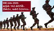 SSB Constables Recruitment 2020: ఎస్ఎస్‌బిలో 1522 ఉద్యోగాలు.. 10వ తరగతి పాస్ అయితే చాలు..