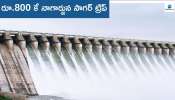 Nagarjuna Sagar: నాగార్జున సాగర్‌ టూర్‌ ప్యాకేజీ కేవలం రూ.800.. ఇంకా ఎన్నో చూడవచ్చు..!