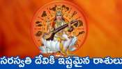 Saraswati Devi Favourite Zodiac Sign: సరస్వతి దేవికి ఇష్టమైన రాశులు.. వీరికి బంఫర్‌ డబ్బుతో పాటు ఆనందం!