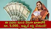 Pension Scheme For Women: మహిళలకు గుడ్‌న్యూన్‌.. ఈ పథకం నుంచి నేరుగా ఖాతాలోకి రూ. 5,000.. ఇప్పుడే అప్లై చేయండి!