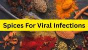 Viral Infections: ఈ 4 మసాలా వస్తువులతో వైరల్ ఇన్‌ఫెక్షన్లకు చెక్