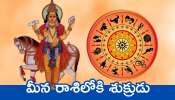 Venus Transit 2025: మీన రాశిలోకి శుక్రుడు.. ఈ రాశులవారికి మహా ధన యోగం..