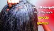 White Hair To Black Hair: ఇలా 10 నిమిషాల్లో తెల్ల జుట్టు నల్లగా మారడం ఖాయం, నమ్మట్లేదా?