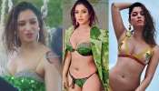 Tamannaah Bhatia Bikini Pics: తమన్నా భాటియా బికినీ ట్రీట్.. మిల్కీ బ్యూటీది మామూలు అందం కాదు!