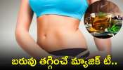 Weight Loss Tea: బరువు తగ్గించే మ్యాజిక్‌ టీ.. దీనితో ఎలాంటి సమస్యలైనా నయం అవ్వాల్సిందే!