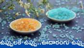 Very Costly Salt: ఉప్పులకే ఉప్పు.. ఊదారంగు ఉప్పు.. ధర తెలిస్తే షాక్‌ అవ్వాల్సిందే భయ్యా..