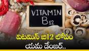 Vitamin B12 Deficiency: విటమిన్ బి12 లోపం యమ డేంజర్‌.. ఎందుకో తెలుసా?