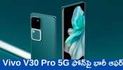 Vivo V30 Pro 5G Discount Offer: ఫ్లిఫ్‌కార్ట్‌లో బడ్జెట్‌ సందర్భంగా Vivo V30 Pro 5G ఫోన్‌పై భారీ ఆఫర్‌.. ఏకంగా రూ.7 వేల తగ్గింపుతో ఆర్డర్‌ చేయండి!