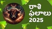 Rasi Phalalu 2025: 2025 సంవత్సరంలో ఈ రాశి వారికి అచ్చు గుద్దినట్టు ఇదే జరుగుతుంది..  స్త్రీ, పురుషులకు అద్భుతమైన ధనయోగం!