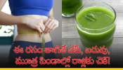 Bp - Weight Loss: ఈ రసం తాగితే బీపీ, బరువు, మూత్ర పిండాల్లో రాళ్లకు చెక్‌!