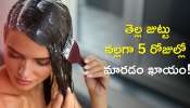 Turn White Hair to Black in 5 Days: తెల్ల జుట్టును 5 రోజుల్లో నల్లగా మార్చే కలబంద మరియు ఆలివ్ ఆయిల్ 