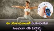 Yoga For Diabetes: ఈ యోగాసనాలతో డయాబెటిస్‌కి సులభంగా చెక్‌ పెట్టొచ్చు!