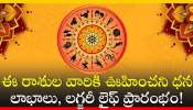 Lucky Zodiac Signs: మే 19వ తేదీన శుక్రుడి సంచారం.. ఈ రాశుల వారికి ఊహించని ధన లాభాలు, లగ్జరీ లైఫ్ ప్రారంభం!