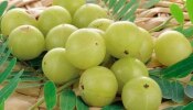 Amla Benefits: చలికాలంలో ఉసిరితో కలిగే లాభాలు తెలిస్తే ఇక ఎప్పటికీ వదిలిపెట్టరు