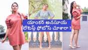 Anchor Anasuya latest photo gallery: కవ్వించే ఫోజులతో యాంకర్ అనసూయ లేటెస్ట్ ఫోటో షూట్