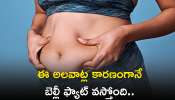 Belly Fat Reasons: ఈ అలవాట్ల కారణంగానే బెల్లీ ఫ్యాట్‌ వస్తోంది..ఫ్యాట్‌ రాకుండా ఉండడానికి ఉత్తమ చిట్కాలు..