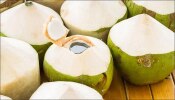 Coconut Benefits: కొబ్బరి బొండాలతో బరువు కూడా తగ్గించుకోవచ్చు..ఎలాగో తెలుసా
