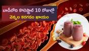 Reduce Bad Cholesterol: ఈ 3 రసాలతో బాడీలోని కొలెస్ట్రాల్ మీరు వద్దన్నా 10 రోజుల్లో వెన్నల కరగడం ఖాయం..