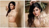 Eesha Rebba Viral Pics: గోల్డెన్ టాప్ లో మెరిసిన ఈషా.. తెలుగమ్మాయి అందాలకు షేక్ అవుతున్న సోషల్ మీడియా...