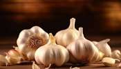 Garlic Reduces Belly Fat: వెల్లుల్లితో ఈ 5 రకాలుగా తీసుకుంటే బెల్లీ ఫ్యాట్ ఇట్టే మాయం