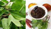 Gongura benefits: చలికాలంలో .. గోంగూర తింటే ఎన్ని ఆరోగ్య లాభాలో తెలుసా..?