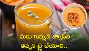 Pumpkin Juice Benefits: ఈ రసంతో శరీరానికి బోలెడు ప్రయోజనాలు.. మీరు కూడా గుమ్మడి జ్యూస్‌ని తప్పక ట్రై చేయాలి.. 