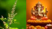 Vinayaka Chaturthi 2024:  వినాయక చవితి ఒక్కరోజే గణపతికి తులసీదళం.. మిగతరోజుల్లో నిషేధం.. ఈ శాపం గురించి తెలుసా..?