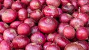 Onion Precautions: డయాబెటిస్ రోగులు ఉల్లిపాయలు తినవచ్చా లేదా, ఎవరెవరికి మంచిది కాదు