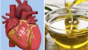 Best Cooking Oils: గుండె ఆరోగ్యం కాపాడే బెస్ట్ వంట నూనెలు ఇవే