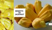 Jackfruit: పనస పండులో ఉండే అద్భుతాలు తెలిస్తే ఇక అస్సలు వదిలిపెట్టరు!