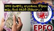 EPF Money Interesting Facts: ఈపీఎఫ్ ఫండ్‌ని బ్యాంకులు, కోర్టులు అప్పుల కింద అటాచ్ చేయొచ్చా? చట్టం ఏం చెబుతోంది?