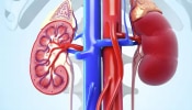 Kidney Disease: రోజూ ఉదయం సమయంలో ఈ లక్షణాలు కన్పిస్తే కిడ్నీ ప్రమాదంలో ఉన్నట్టే