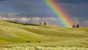 Rainbow In Dreams: మీ కలలో ఇంద్రధనస్సును చూశారా, దాని అర్థం ఏంటంటే