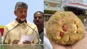 Chandrababu naidu: తిరుమల లడ్డులో ఎనిమల్ ఫ్యాట్.. సంచలన వ్యాఖ్యలు చేసిన  చంద్రబాబు..