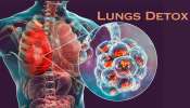 Lungs Detox: మీ లంగ్స్‌ను సహజసిద్ధంగా డీటాక్స్ చేసే అద్భుతమైన అలవాట్లు ఇవే