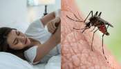 Get rid of mosquitoes: ఈ సింపుల్  టిప్స్ పాటిస్తే.. మీ ఇంట్లో ఉన్న దోమలన్ని పరార్..