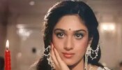 Meenakshi Seshadri: నాటి అందాల తార, నేడు గుర్తు పట్టలేనంతగా మారిపోయిన మీనాక్షి శేషాద్రి