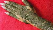 Best Mehndi Designs: పెళ్లిలో మీ చేతికి మరింత అందాన్నిచ్చే 5 బెస్ట్ మెహెందీ డిజైన్‌లు మీ కోసం